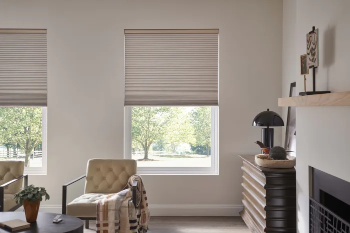 living room with smart shades