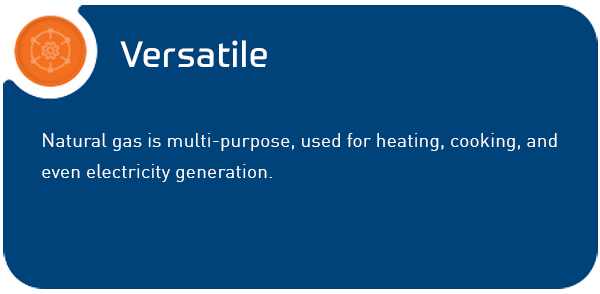 Every day, over 189 million people rely on natural gas, knowing it provides efficient and reliable performance.