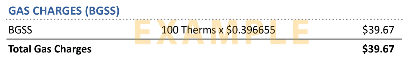 BGSS Gas Charge Example