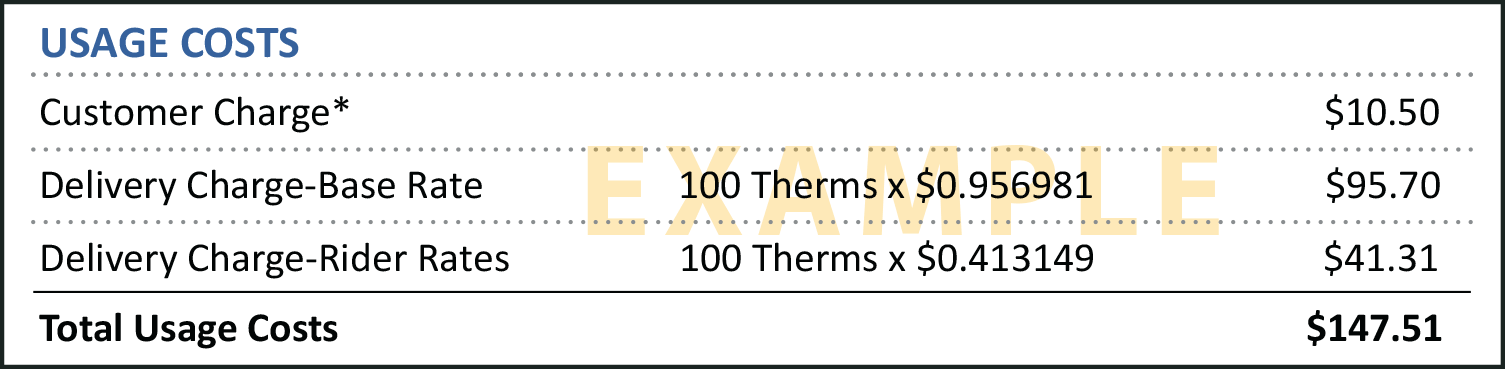 Usage Costs
