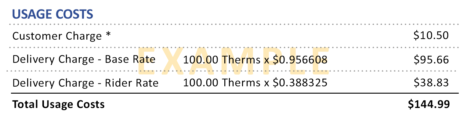Usage Costs