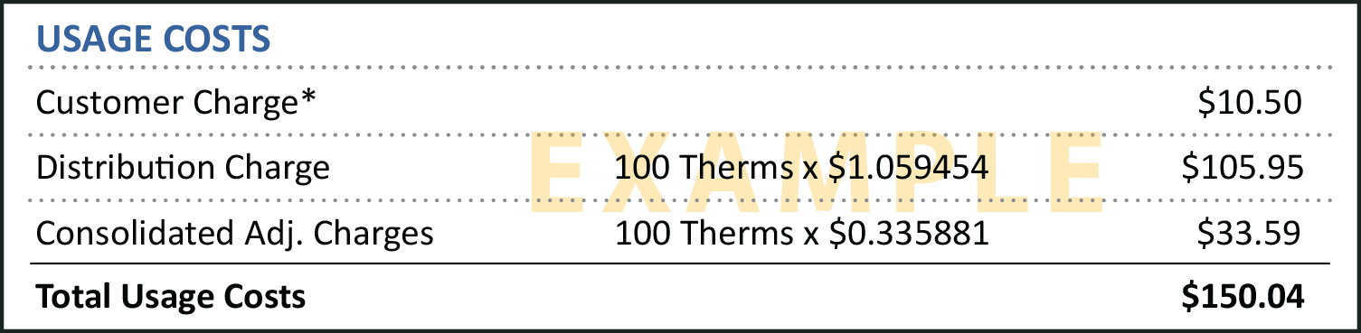 Usage Costs