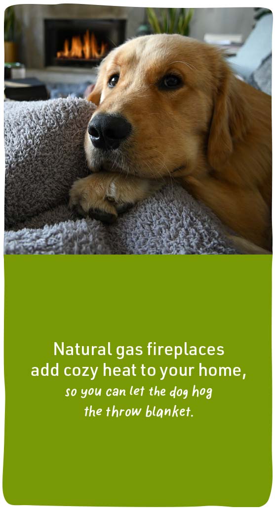 Natural gas fireplaces add cozy heat to your home, so you can let the dog hot the throw blanket.